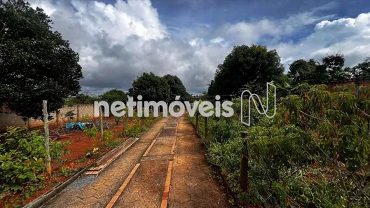 Fazenda/Sítio com 3 Quartos à venda, 2000m² no , Caetanópolis