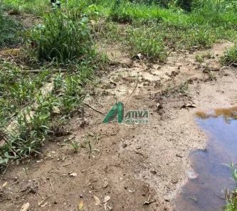 Fazenda/Sítio com 4 Quartos para venda ou aluguel, 1000m² no CIDADE NOVA II, Juatuba