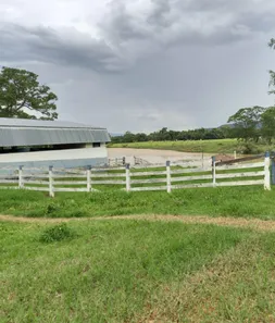 Fazenda/Sítio à venda no , Buritis