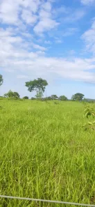 Fazenda/Sítio à venda, 580800m² no Centro, Jaraguá