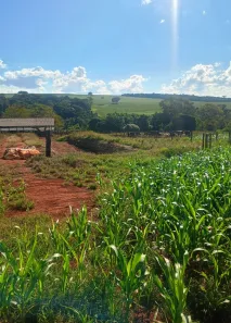 Fazenda/Sítio à venda, 1m² no Zona Rural, Gameleira de Goiás