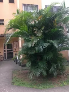 Apartamento com 2 Quartos à venda, 50m² no Paciência, Rio de Janeiro