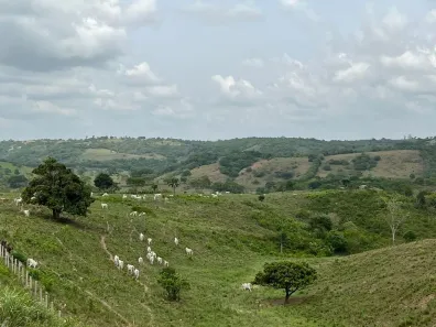 Fazenda/Sítio à venda, 630000m² no Centro, Serraria