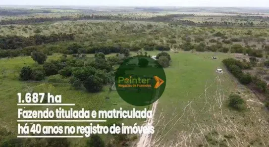 Fazenda/Sítio à venda, 16870000m² no , Bonfim