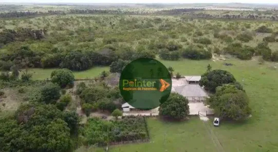 Fazenda/Sítio à venda, 16870000m² no , Bonfim