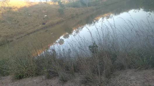 Fazenda/Sítio à venda, 150m² no Centro, Padre Bernardo