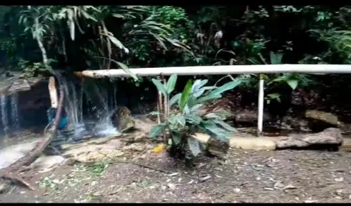 Lote/Terreno à venda, 1060000m² no Aida Mendonça, Presidente Figueiredo