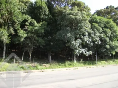 Lote/Terreno à venda, 3121m² no Cruzeiro, Caxias do Sul