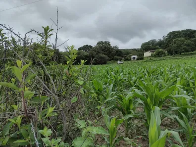 Lote/Terreno à venda, 20000m² no Zona Rural, Fortuna de Minas