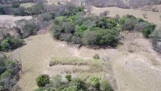 Fazenda/Sítio à venda no , Buritis