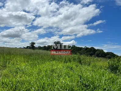 Fazenda/Sítio à venda, 173200m² no , Terezópolis de Goiás