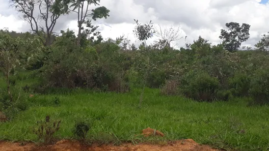 Lote/Terreno à venda, 20000m² no , Paraopeba