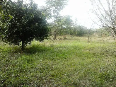 Lote/Terreno à venda, 1000m² no Caju, Nova Santa Rita