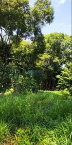 Lote/Terreno à venda, 1000m² no Anel, Lagoa Santa