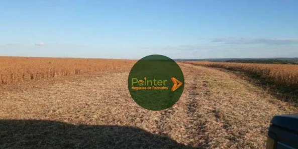 Fazenda/Sítio à venda, 5040000m² no , Buritis