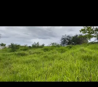Fazenda/Sítio à venda no Planaltina, Brasília