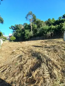 Lote/Terreno à venda, 999m² no Bela Vista, Caxias do Sul