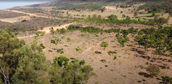 Lote/Terreno à venda, 20000m² no , Cordisburgo