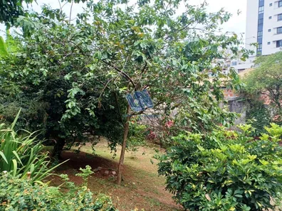 Lote/Terreno à venda, 774m² no Rio Vermelho, Salvador