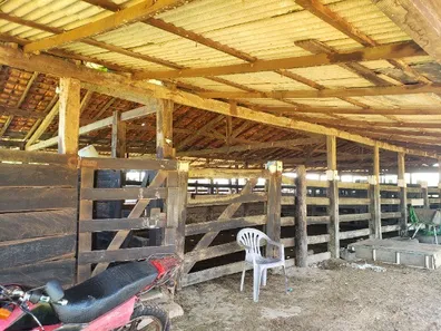 Fazenda/Sítio com 4 Quartos à venda, 300000m² no , Itapecuru Mirim