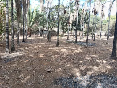 Fazenda/Sítio com 2 Quartos à venda, 5000m² no Setor Central, Padre Bernardo