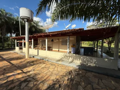 Fazenda/Sítio com 2 Quartos à venda, 2000m² no , Guapó