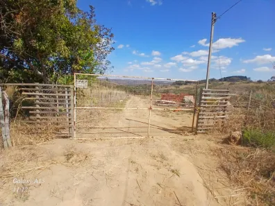 Fazenda/Sítio com 1 Quarto à venda, 7000m² no , Brasília