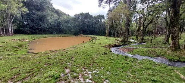 Lote/Terreno à venda, 22000m² no , Nova Petrópolis
