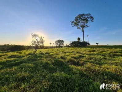 Fazenda/Sítio com 3 Quartos à venda, 10000m² no , Cafelândia