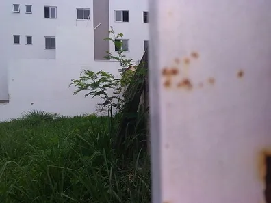 Lote/Terreno com 1 Quarto para alugar, 355m² no Santa Lúcia, Betim