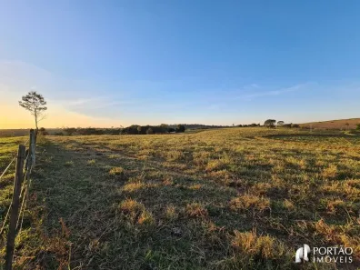 Fazenda/Sítio com 3 Quartos à venda, 10000m² no , Cafelândia