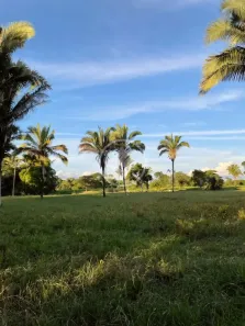 Fazenda/Sítio à venda, 200m² no Vila Santa Maria, Inhumas
