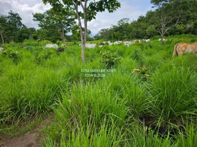Fazenda/Sítio com 3 Quartos à venda, 232320m² no , Niquelândia
