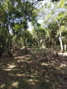 Lote/Terreno à venda, 4690m² no Viamópolis, Viamão