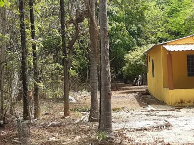 Fazenda/Sítio com 2 Quartos à venda, 10000m² no Centro, Padre Bernardo