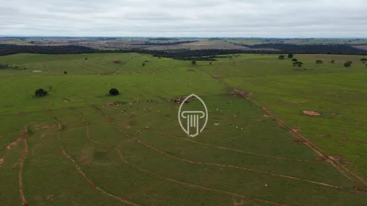 Fazenda/Sítio à venda, 23498200m² no Cruzeiro do Oeste, Cruzeiro do Oeste