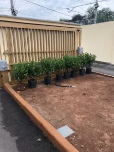 Apartamento com 2 Quartos à venda, 56m² no Citrolândia, Betim