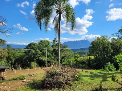 Fazenda/Sítio com 3 Quartos à venda, 100000m² no Antonina, Antonina