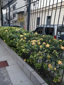 Kitnet para alugar, 24m² no Catete, Rio de Janeiro
