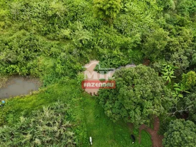 Fazenda/Sítio à venda, 20000m² no Vila Mutirão, Inhumas