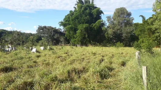 Lote/Terreno à venda, 20000m² no , Paraopeba