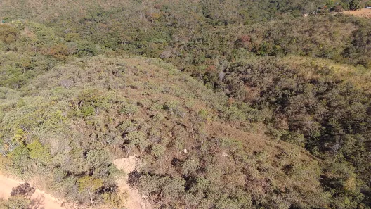 Fazenda/Sítio à venda, 20000m² no , Brasília