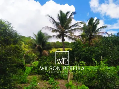 Fazenda/Sítio com 6 Quartos à venda, 120000m² no , Serraria