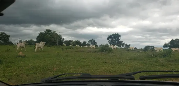 Fazenda/Sítio à venda, 690m² no , Padre Bernardo