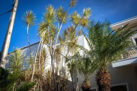 Casa de Condomínio com 3 Quartos à venda, 248m² no Castelo, Tremembé