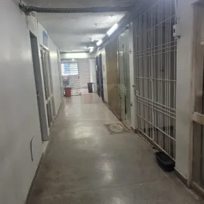 Sala Comercial para alugar, 100m² no Boa Vista, Recife