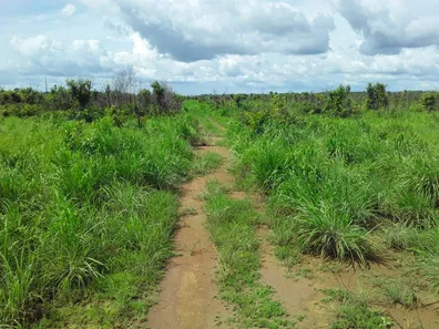 Fazenda/Sítio com 1 Quarto à venda, 484000000m² no , Babaçulândia