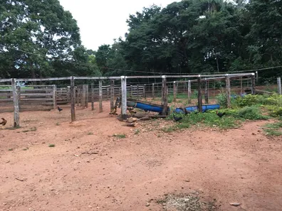 Fazenda/Sítio com 3 Quartos à venda, 43m² no Tupiracaba, Niquelândia