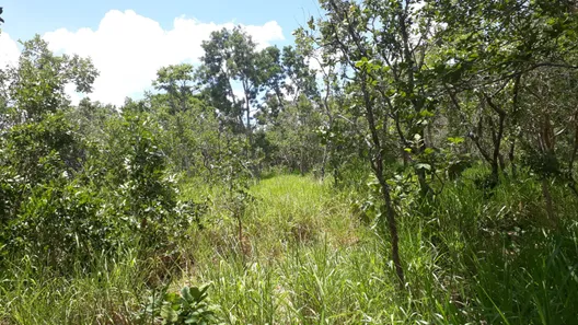 Lote/Terreno à venda, 20000m² no Cordisburgo, Cordisburgo