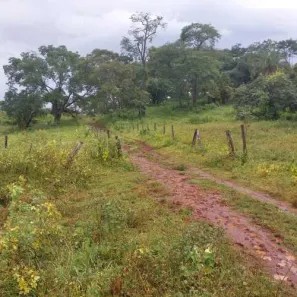 Fazenda/Sítio com 2 Quartos à venda, 100m² no , Itaberaí